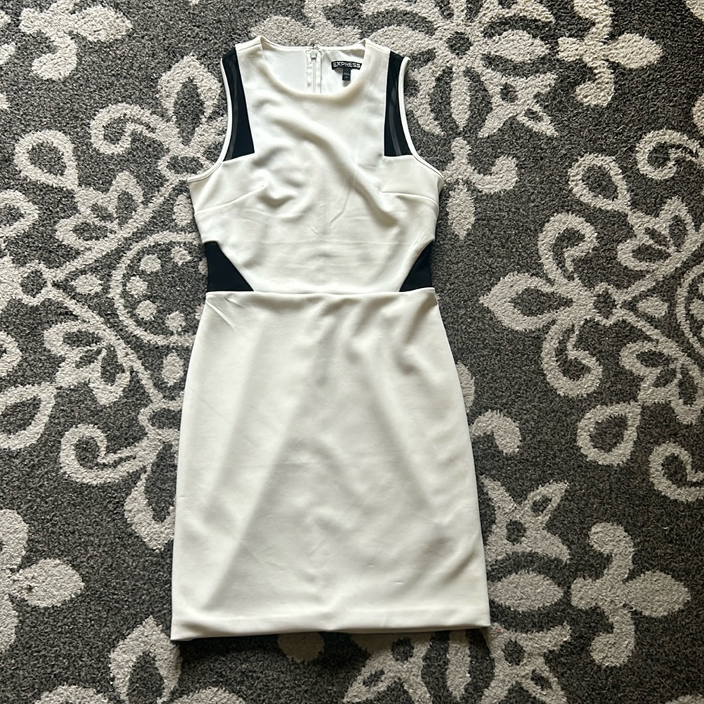 Express size 4 dress